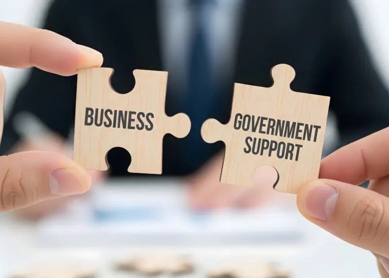 Grow Your Business with Government Support